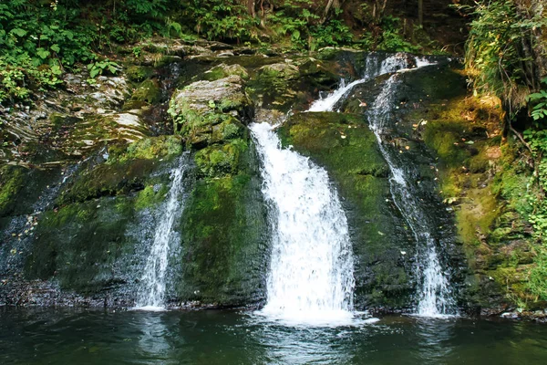 Ukrayna Karpatlar doğası. Yaz. Yeşil ağaçlar. Şelale ve bay.