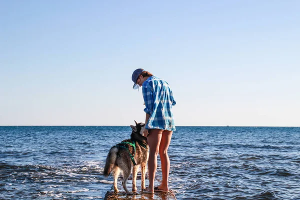 Uitzicht Adriatische Zee Husky Spelen Zee Stenen Strand Meisje Met — Stockfoto