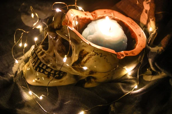 Crâne Halloween Avec Cervelle Bleue Citrouille Dans Obscurité Avec Une — Photo