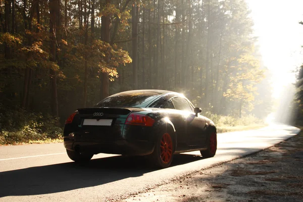 Beautiful Black Car Autumn Forest Audi Red Discs Outdoor Photoshoot — Stock Photo, Image