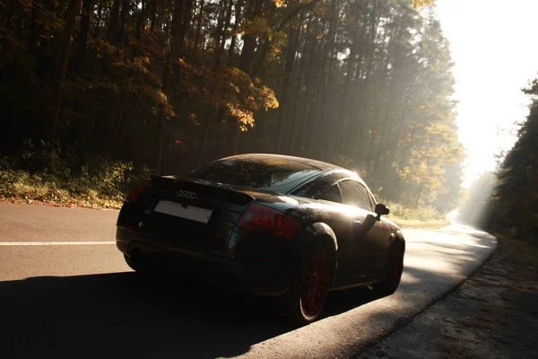 Beautiful Black Car Autumn Forest Audi Red Discs Outdoor Photoshoot — Stock Photo, Image