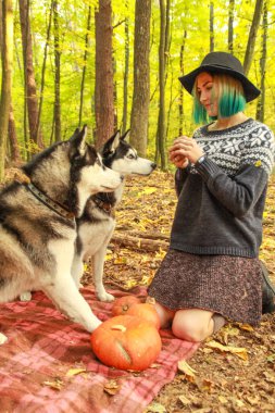 Onların metresi ile sonbahar ormandaki iki Siberian dış yapraklar yürüyüş. Örme kazak ve etek tozluk ile şapkalı kız. Siyah ve beyaz köpek ve tüylü yaprakları.