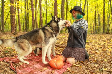Onların metresi ile sonbahar ormandaki iki Siberian dış yapraklar yürüyüş. Örme kazak ve etek tozluk ile şapkalı kız. Siyah ve beyaz köpek ve tüylü yaprakları.