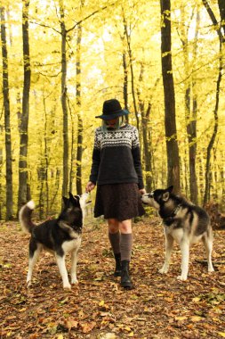 Onların metresi ile sonbahar ormandaki iki Siberian dış yapraklar yürüyüş. Örme kazak ve etek tozluk ile şapkalı kız. Siyah ve beyaz köpek ve tüylü yaprakları.