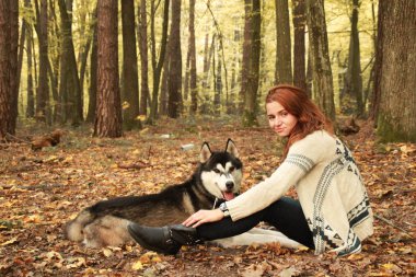 Siberian dış yapraklar onların metresi ile sonbahar ormanda yürüyüş. Kız süsleme ile örme kazak. Siyah ve beyaz köpekler.