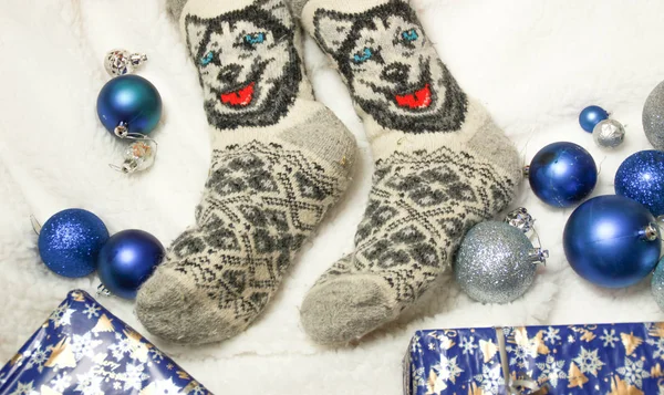Жіночі Ноги Шкарпетки Husky Собак Блакитними Очима Новий Рік Різдво — стокове фото