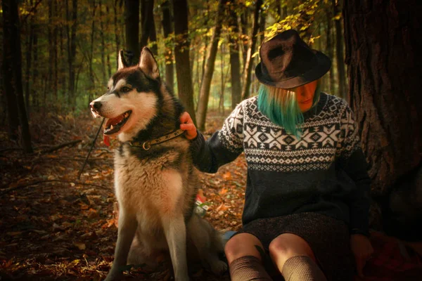 西伯利亚的哈士奇在秋天的森林里和女主人一起休息 女孩用针织毛衣和裙子用紧身裤读一本书 黑白相间的狗和羽毛叶子 — 图库照片