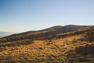 Sonbahar zaman içinde Ukrayna Karpatlar. Sıcak renkli yeşil yaprakları. macera otantik sayısı ruhu. Dünya Güzellik. Ormanlar ve dağlar.