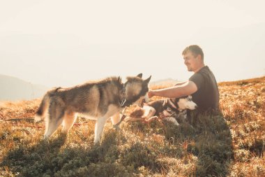 Siyahlı adam t-shirt Dağı top oynamak ile iki dış yapraklar. Sonbahar zaman içinde Ukrayna Karpatlar. Sıcak renkli yeşil yaprakları. Ormanlar ve dağlar görüntüleyin. Köpekle seyahat