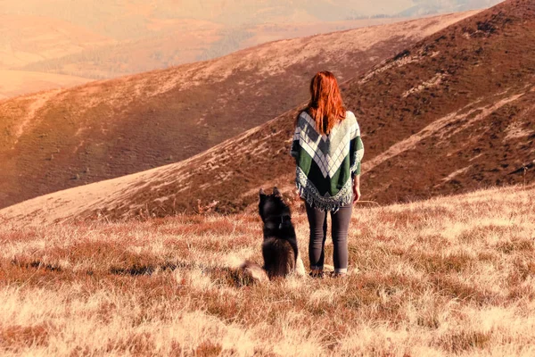 一个在正宗的披肩与一个绿色的模式与赫斯基玩的女孩 乌克兰的喀尔巴阡山脉在秋季时间 暖色绿叶 森林和山脉的顶部视图 与狗一起旅行 — 图库照片