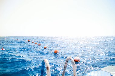 Mısır'ın Kızıldeniz. Mercan ve ada manzarası. Mavi su ve palmiye ağaçları. Sharm el Sheikh cennette