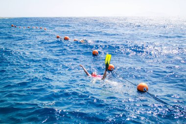 Mısır'ın Kızıldeniz. Mercan ve ada manzarası. Mavi su ve palmiye ağaçları. Sharm el Sheikh cennette