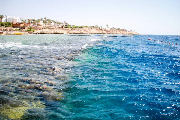 Mar Rojo Egipto Vista Coral Isla Agua Azul Palmeras Paraíso — Foto de Stock