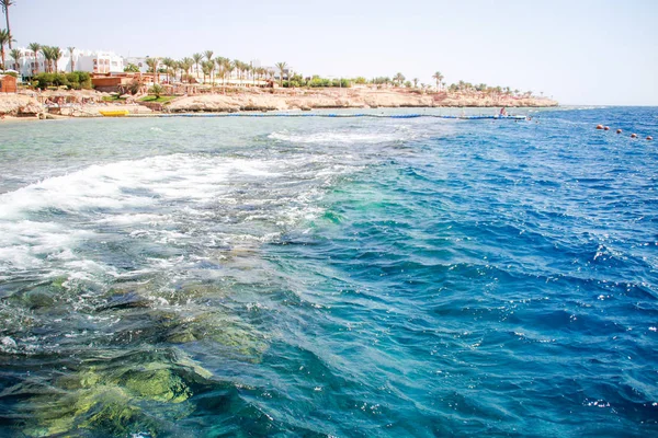 Mar Rojo Egipto Vista Coral Isla Agua Azul Palmeras Paraíso — Foto de Stock