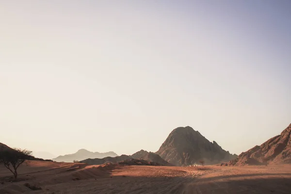 Mısır Çölde Sharm Sheikh Kum Kum Borkhan Rock Günbatımı — Stok fotoğraf