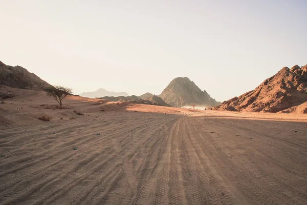 Mısır Çölde Sharm Sheikh Kum Kum Borkhan Rock Günbatımı — Stok fotoğraf