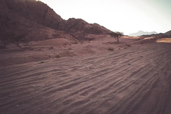 Mısır Çölde Sharm Sheikh Kum Kum Borkhan Rock Günbatımı — Stok fotoğraf