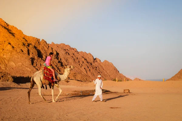 Poušť Egyptě Sharm Sheikh Písek Písek Borkhan Rock Západ Slunce — Stock fotografie