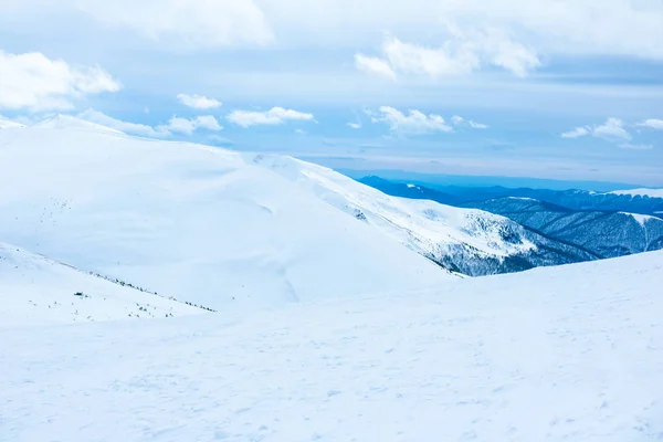 Український Карпатських Гір Зимовий Період Драгобрат Погляд Згори Сніг Падає — стокове фото