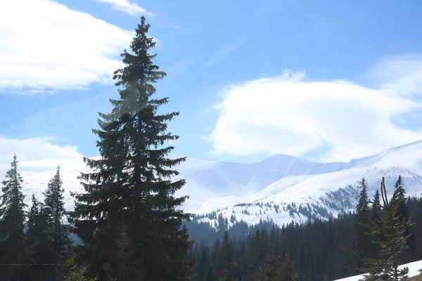 Montagnes Des Carpates Ukrainiennes Hiver Vue Dragobrat Depuis Haut Gouttes — Photo