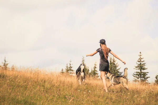 Caminhada Husky Natureza Menina Está Brincando Com Dois Cães Viajando — Fotografia de Stock