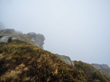 Sis dağın zirvesinde. Karanlık dağlar Ukraynalı Karpat Dağları.