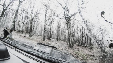 Dağlarda araba ile seyahat. Offroad sisli dağlar ve ormanlar Ukrayna Karpatlar, üstünde belgili tanımlık pencere görünümünden
