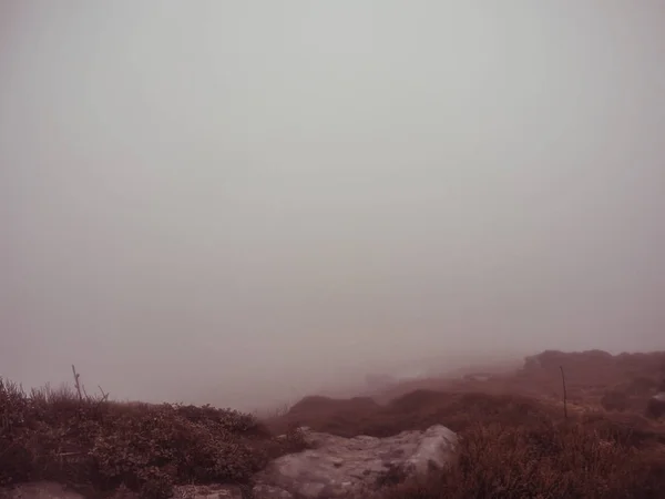 Туман Вершине Горы Тёмные Горы Украинских Карпат — стоковое фото