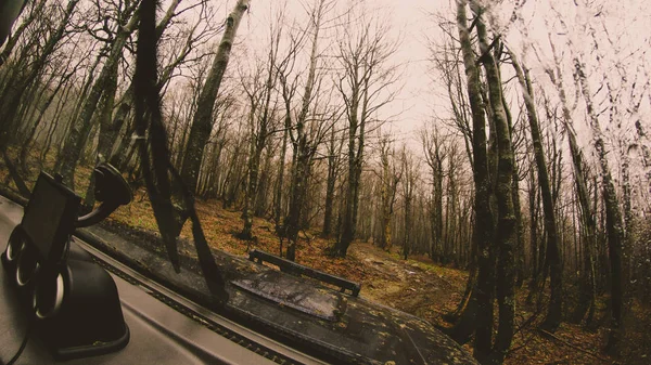 Cestování Autem Horách Offroad Výhled Okna Mlžné Hory Lesy Ukrajinské — Stock fotografie