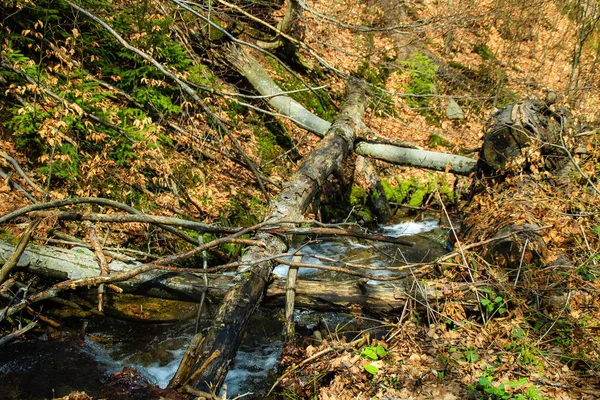 Mountain River Stenar Och Vatten Ukrainska Pittoreska Karpaterna Fjälltur Resor — Stockfoto