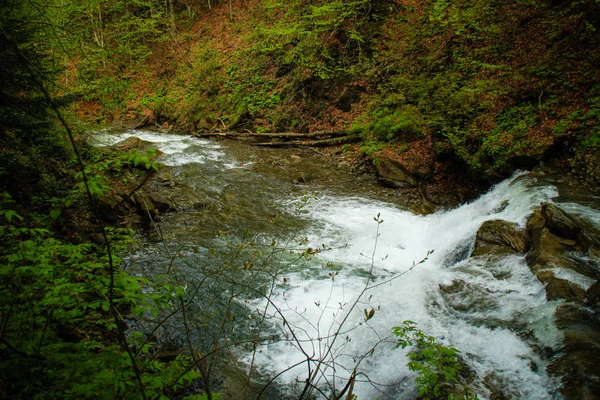 Horská Řeka Kameny Voda Ukrajinská Malebné Karpaty Horská Cesta Cestování — Stock fotografie