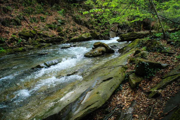 Rio Montanha Pedras Água Cárpatos Ucranianos Pitorescos Viagem Montanha Viajar — Fotografia de Stock