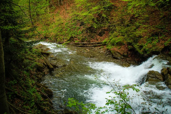 Rio Montanha Pedras Água Cárpatos Ucranianos Pitorescos Viagem Montanha Viajar — Fotografia de Stock