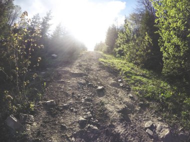 Sonbahar ve ilkbahar dağlarda. Ukraynalı Karpat Dağları. Doğa. Ağaçlar ve dağlar. Seyahat