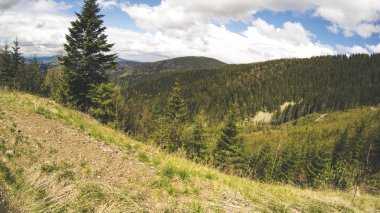 Sonbahar ve ilkbahar dağlarda. Ukraynalı Karpat Dağları. Doğa. Ağaçlar ve dağlar. Seyahat