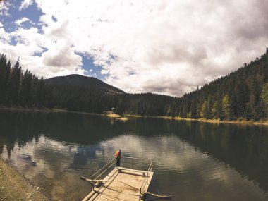 Sonbahar ve ilkbahar dağlarda. Ukraynalı Karpat Dağları. Doğa. Ağaçlar ve dağlar. Seyahat