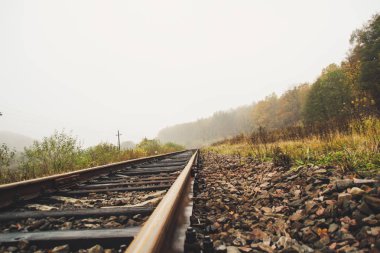 Parça atılmış eski. Unutulmuş yolun ormanın içinde pas. Orman. Sonbahar ve sis. Mistik bir yer.