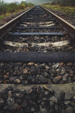 Parça atılmış eski. Unutulmuş yolun ormanın içinde pas. Orman. Sonbahar ve sis. Mistik bir yer.