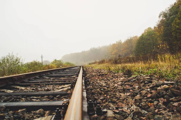Old Thrown Track Rust Forgotten Road Woods Forest Autumn Fog — Stock Photo, Image
