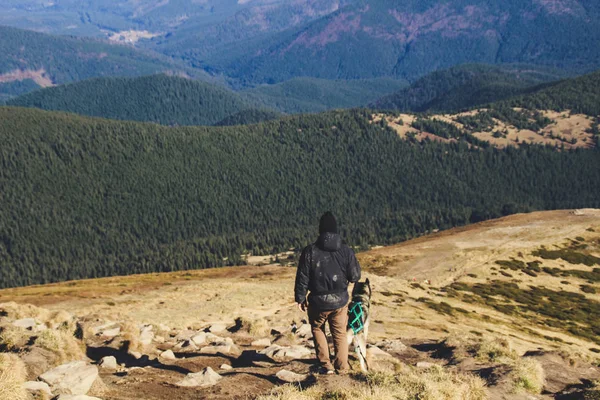 Boy Travels Husky Ukrainian Carpathian Mountains Top Mountain Black White — Stock Photo, Image