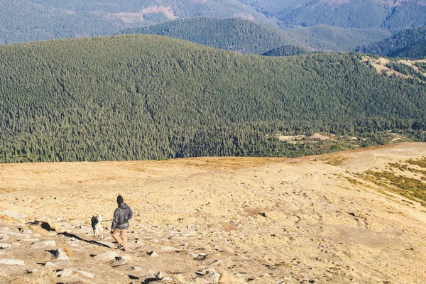 Der Junge Reist Mit Husky Ukrainische Karpaten Gipfel Des Berges — Stockfoto