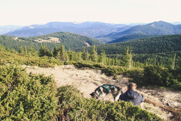 Der Junge Reist Mit Husky Ukrainische Karpaten Gipfel Des Berges — Stockfoto