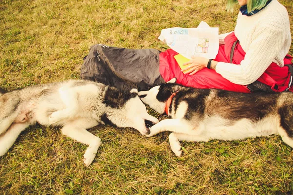 İki dış yapraklar bir işareti şapkalı kız. Uyku tulumu dağlar seyahat Husky. İki köpek.