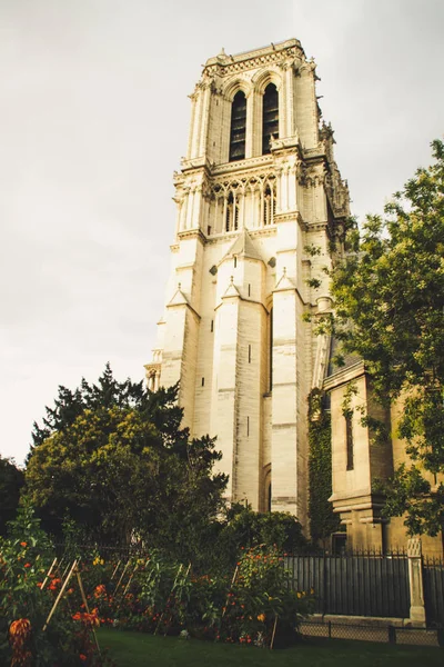 Ancient Parisian Architecture. Houses and churches. Sculptures The beauty of the city. City of love. Trips to places of interest. Notre dame de Paris.