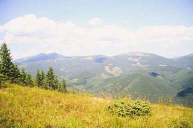 Ukraynalı Karpat Dağları. Tepeler ve dağ zirveleri. Muhteşem bir görünüm.
