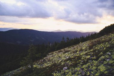 Ukraynalı Karpat Dağları. Tepeler ve dağ zirveleri. Muhteşem bir görünüm.