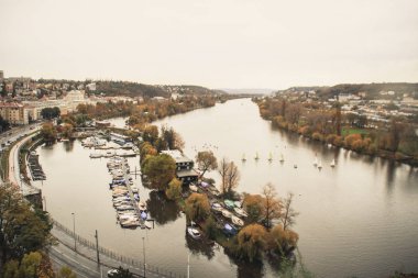 Yeni bir yerde Husky seyahat. Çek Cumhuriyeti, Prag. Şehir arka planlar. Köprü ve mimarisi. Şehirdeki köpek