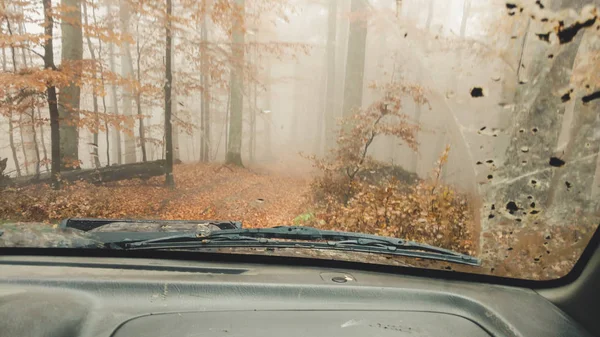 Jesień Las Żółty Pierzastych Liści Podróż Samochodem Offroad Widok Okna — Zdjęcie stockowe
