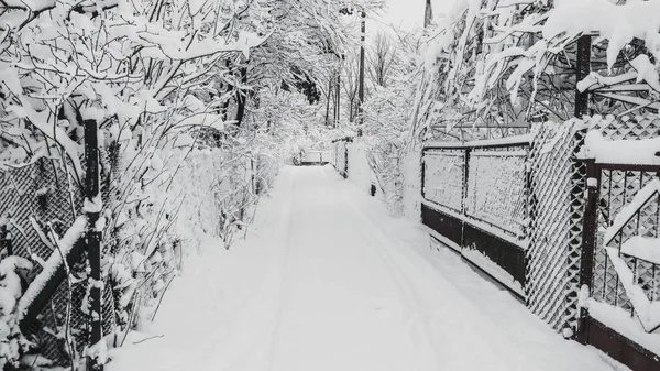 Kouzelná Pohádka Jen Drobivou Sníh Spadl Ulice Ploty Sněhu Všechny — Stock fotografie