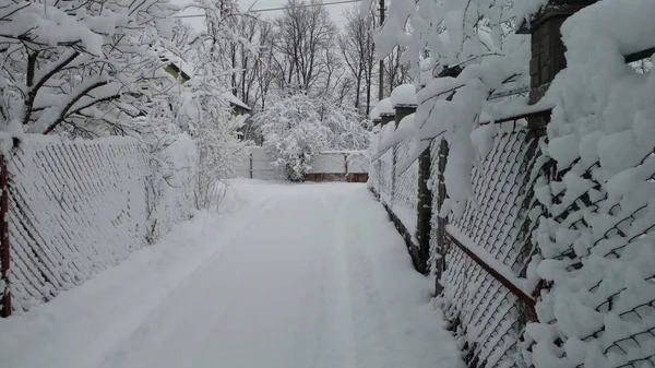Fiaba Magica Solo Neve Friabile Caduta Strada Recinzioni Nella Neve — Foto Stock